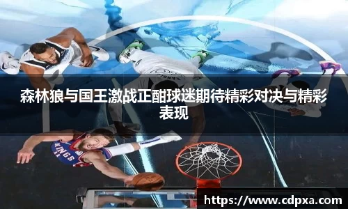 森林狼与国王激战正酣球迷期待精彩对决与精彩表现
