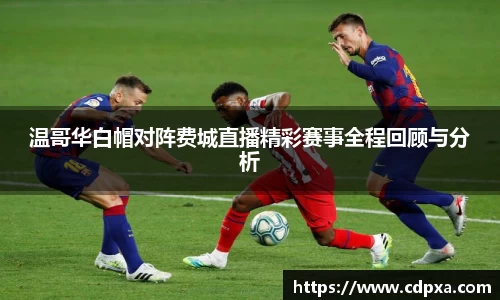 zoty中欧