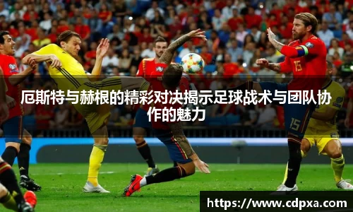 zoty中欧